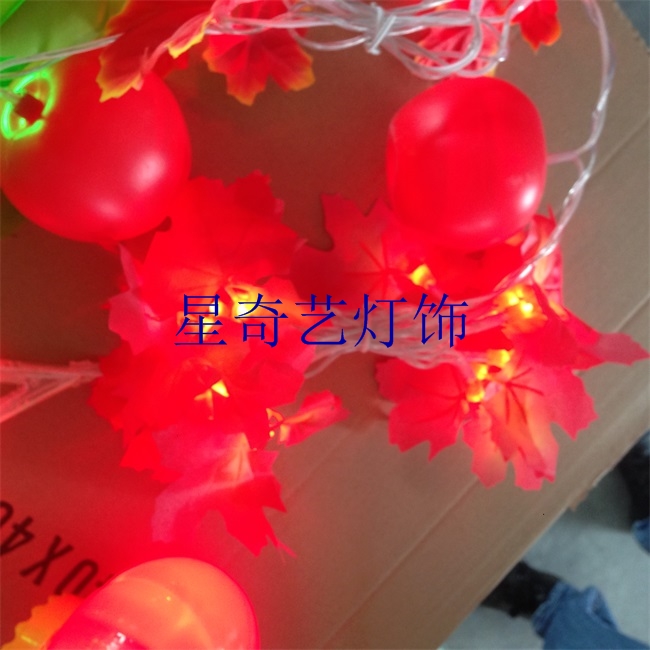 LED花朵串灯，水果串灯 (1).jpg