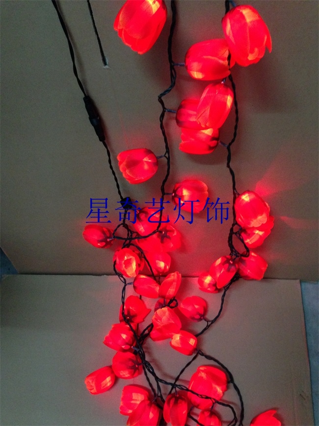 LED花朵串灯，水果串灯 (3).jpg
