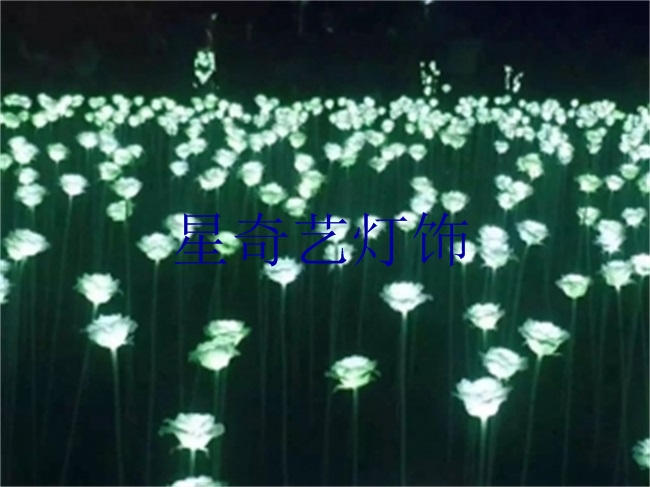 LED玫瑰花海